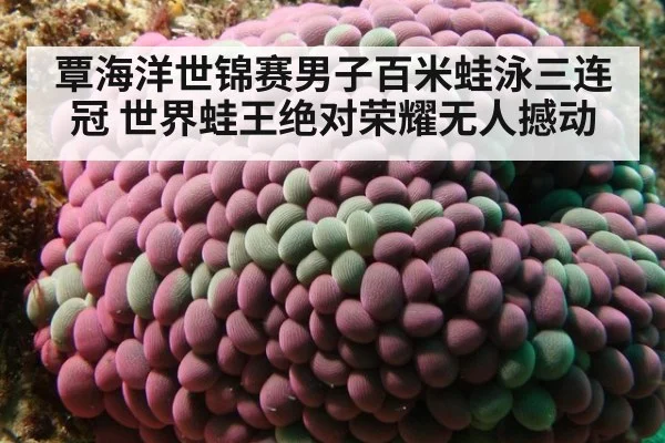 覃海洋世锦赛男子百米蛙泳三连冠 世界蛙王绝对荣耀无人撼动