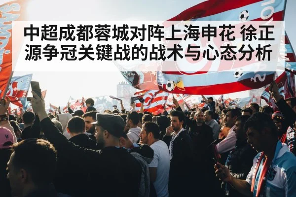 中超成都蓉城对阵上海申花 徐正源争冠关键战的战术与心态分析